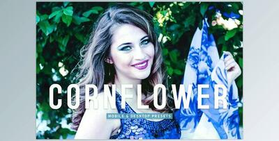 Cornflower Pro Lightroom Presets CreativeMarket - 6923255