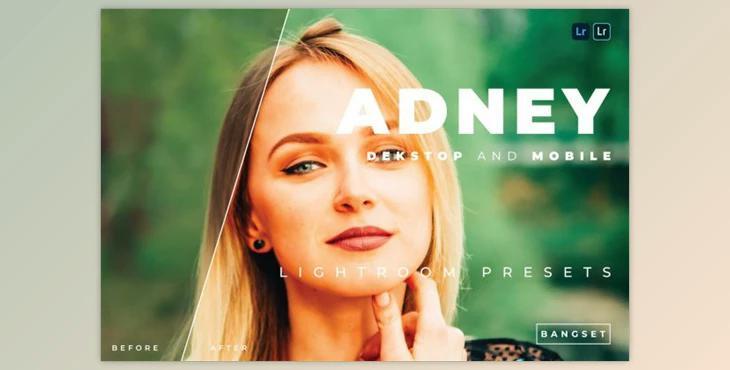 Adney Desktop and Mobile Lightroom Preset by Bangset