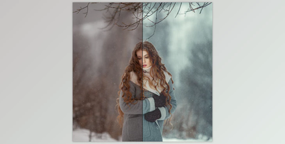 Anna Melnikova Photographer – Winter Preset