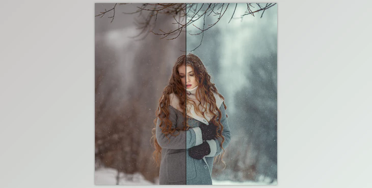 Anna Melnikova Photographer – Winter Preset