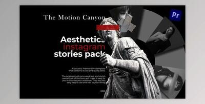 Aesthetics Instagram Stories (Videohive 38768603) - PR Project