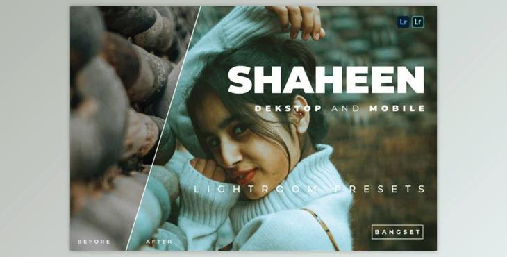 Shaheen Desktop and Mobile Lightroom Preset by Bangset
