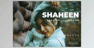 Shaheen Desktop and Mobile Lightroom Preset by Bangset