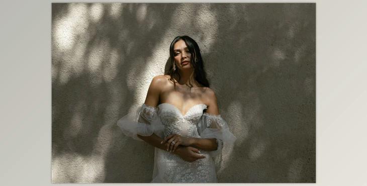 Meridian Presets – Essence Presets