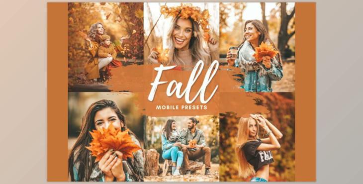FALL VIBES Mobile Lightroom Presets CreativeMarket-5712600 (DNG)