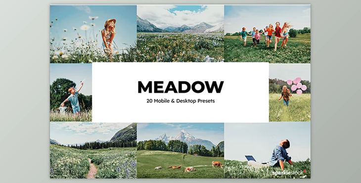 20 Meadow Lightroom Presets GraphicRiver - 35530813