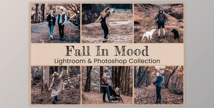 Fall In Mood Lightroom PS Presets By EpicoMedia