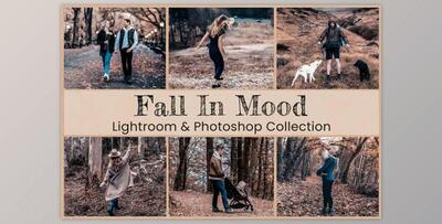Fall In Mood Lightroom PS Presets By EpicoMedia