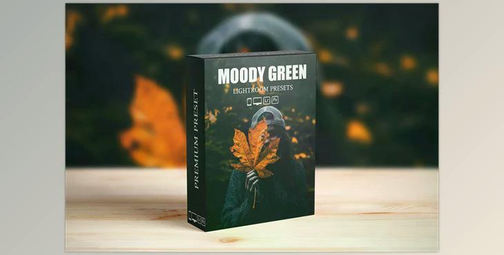 Moody Dark Green Lightroom Presets CreativeMarket-6285007