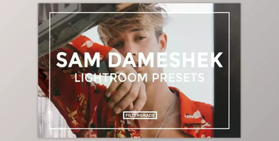 Sam Dameshek Lightroom Presets