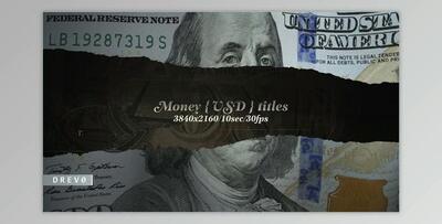 Money USD Titles/ Dollars USA/ Blockchain/ Banknotes and Bonds/ Business/ Economics/ Corporate/ $ (Videohive 40168515) - AE Project