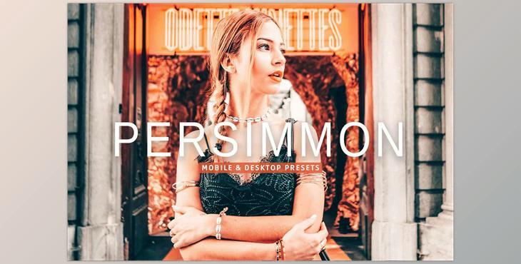 Persimmon Pro Lightroom Presets CreativeMarket - 7382511