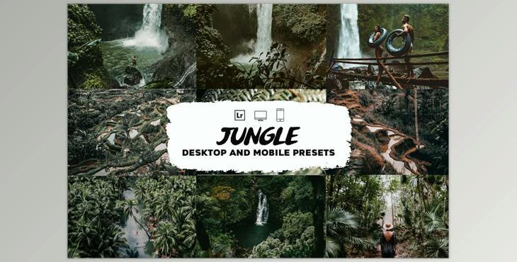 Jungle Lightroom Presets CreativeMarket-5953542 (DNG)