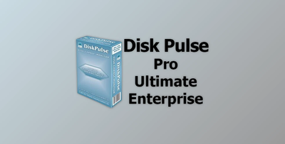 Disk Pulse Pro / Ultimate / Enterprise v17.3.18 + Activator