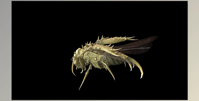 Unreal Engine - Characters DemonBug13 (Engine version 4.18-4.27, 5.0-5.2)