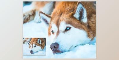 Wild Paint Photoshop Action GraphicRiver-29744891 (ATN)