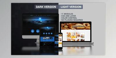 Website Presentation (Dark & Light) (Videohive 9725975) - AE Project