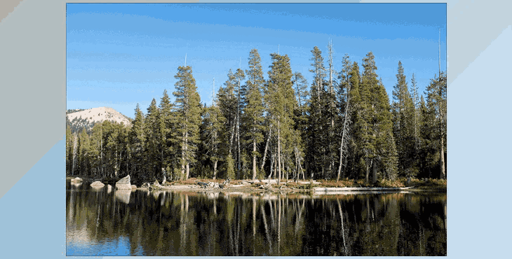 VSCO Labs Infrared (XMP)