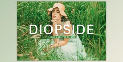 Diopside Pro Lightroom Presets CreativeMarket - 10243238