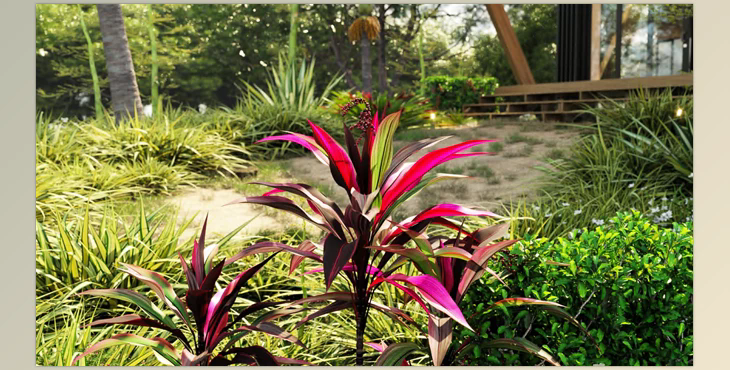 Globe Plants – Bundle 33 -New Zealand Home & Garden Plants