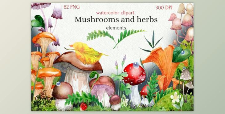 Watercolor Cliparts of Mushrooms by CherrypearStudio (PNG)