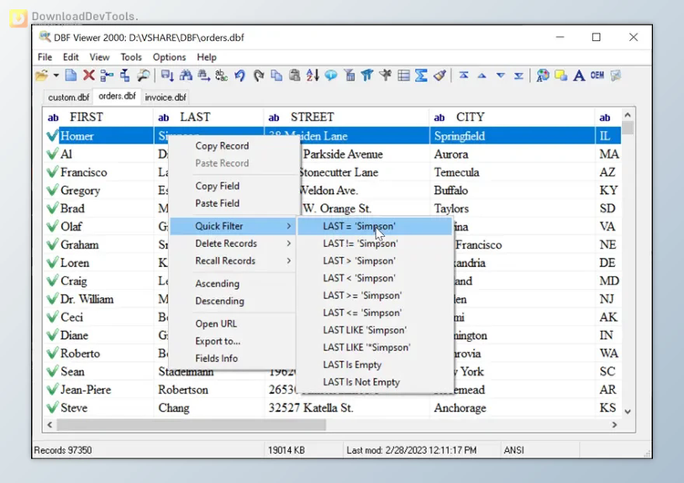 DBF Viewer 2000 v8.55 (15 Jan 2025) Multilingual + Portable Edition + License Key