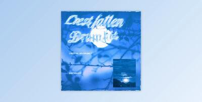 Malloy Crestfallen Drumkit (WAV)