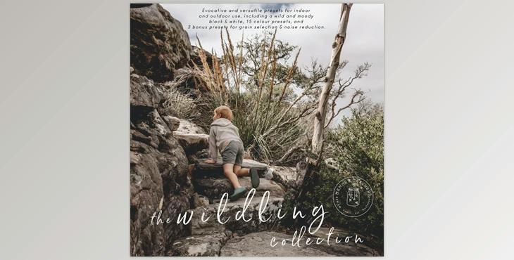 Memory Catchers – The Wildling Collection