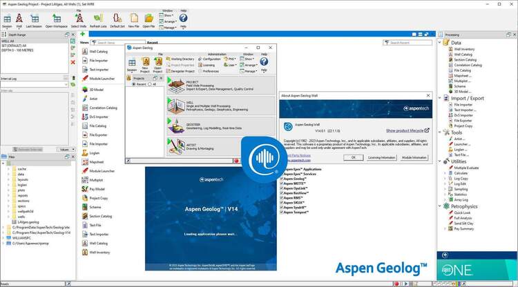 AspenTech Subsurface Science and Engineering 14.2 x64