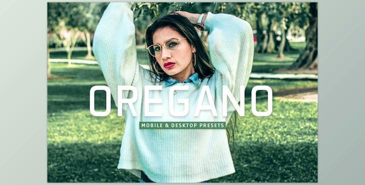 Oregano Pro Lightroom Presets CreativeMarket - 7193790