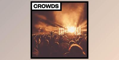 Big Room Sound Crowds
