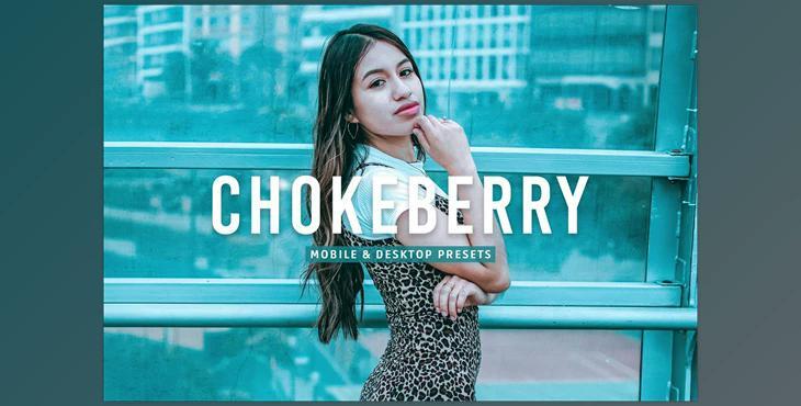 Chokeberry Pro Lightroom Presets CreativeMarket - 7469780