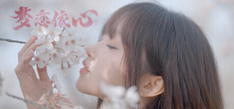 梦恋依心