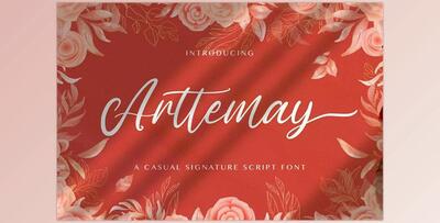 Arttemay – Handwritten Font Creativemarket 5914296
