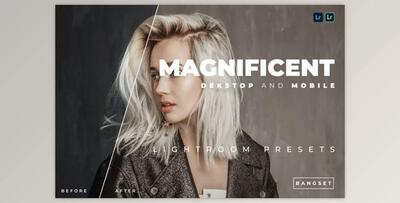 Magnificent Desktop and Mobile Lightroom Preset by Bangset
