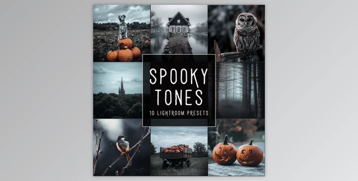 Woodland – Spooky Tones LIMITED Lightroom Presets Pack