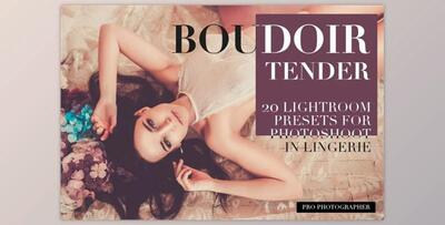 Boudoir Tender Lightroom Presets By Dikarte Media