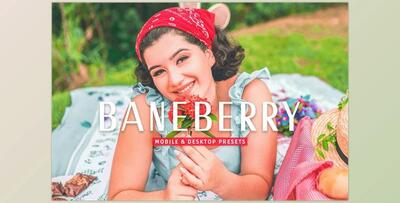 Baneberry Pro Lightroom Presets CreativeMarket - 7469774