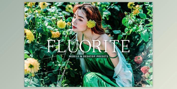 Fluorite Pro Lightroom Presets CreativeMarket - 10243239