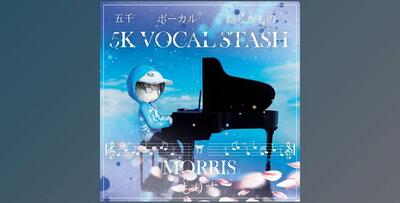 MORRIS 5K Vocal Stash Kit