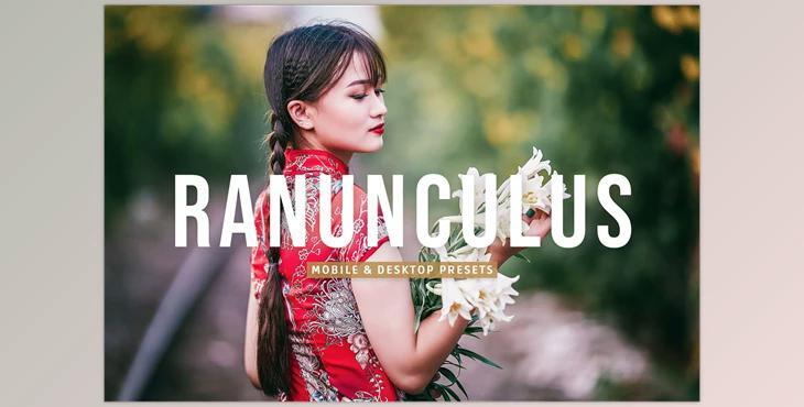 Ranunculus Pro Lightroom Presets CreativeMarket - 7387215