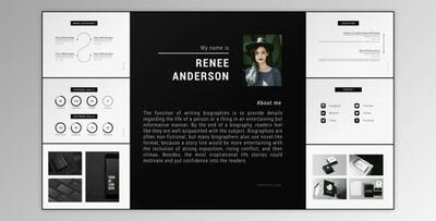 Portfolio CV (Videohive 23712563)