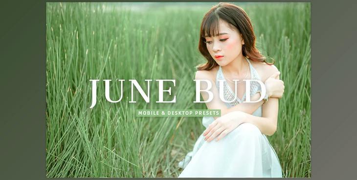 June Bud Pro Lightroom Presets CreativeMarket - 7375260