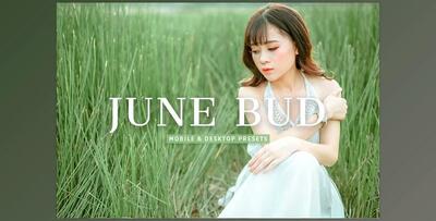 June Bud Pro Lightroom Presets CreativeMarket - 7375260