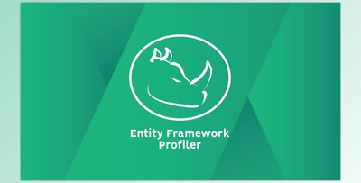 Entity Framework Profiler v6.0 Build 6048 (09 Jan 2025) + LicenseKey