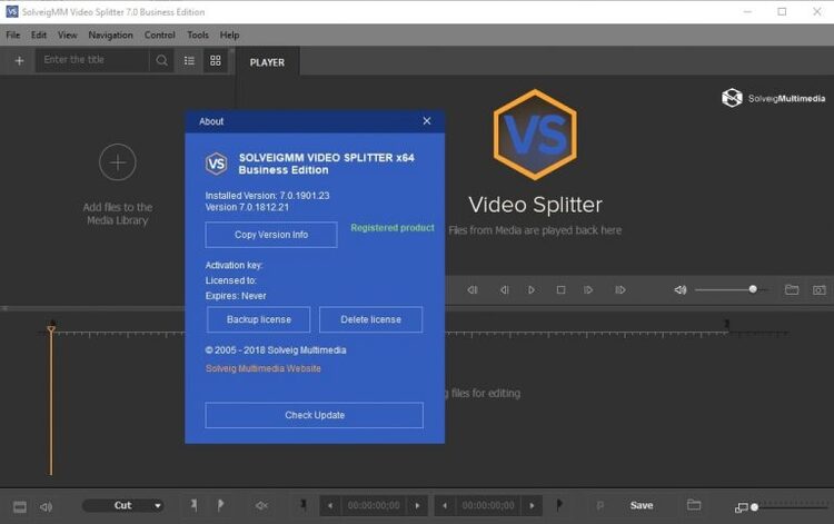SolveigMM Video Splitter 8.1.2503.25