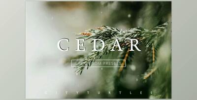 CEDAR Subtle Moody Lightroom Presets