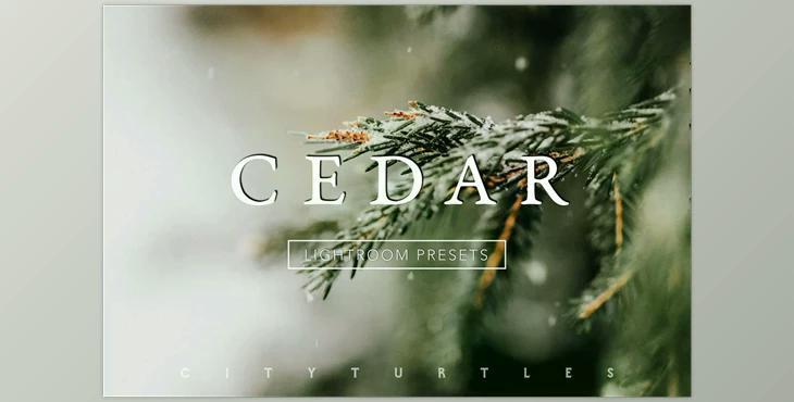 CEDAR Subtle Moody Lightroom Presets