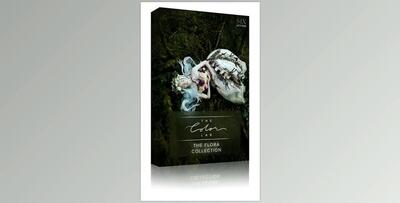 The Color Lab – The Flora Collection