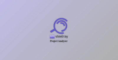 Steelray Project Analyzer v7.22 + Keygen
